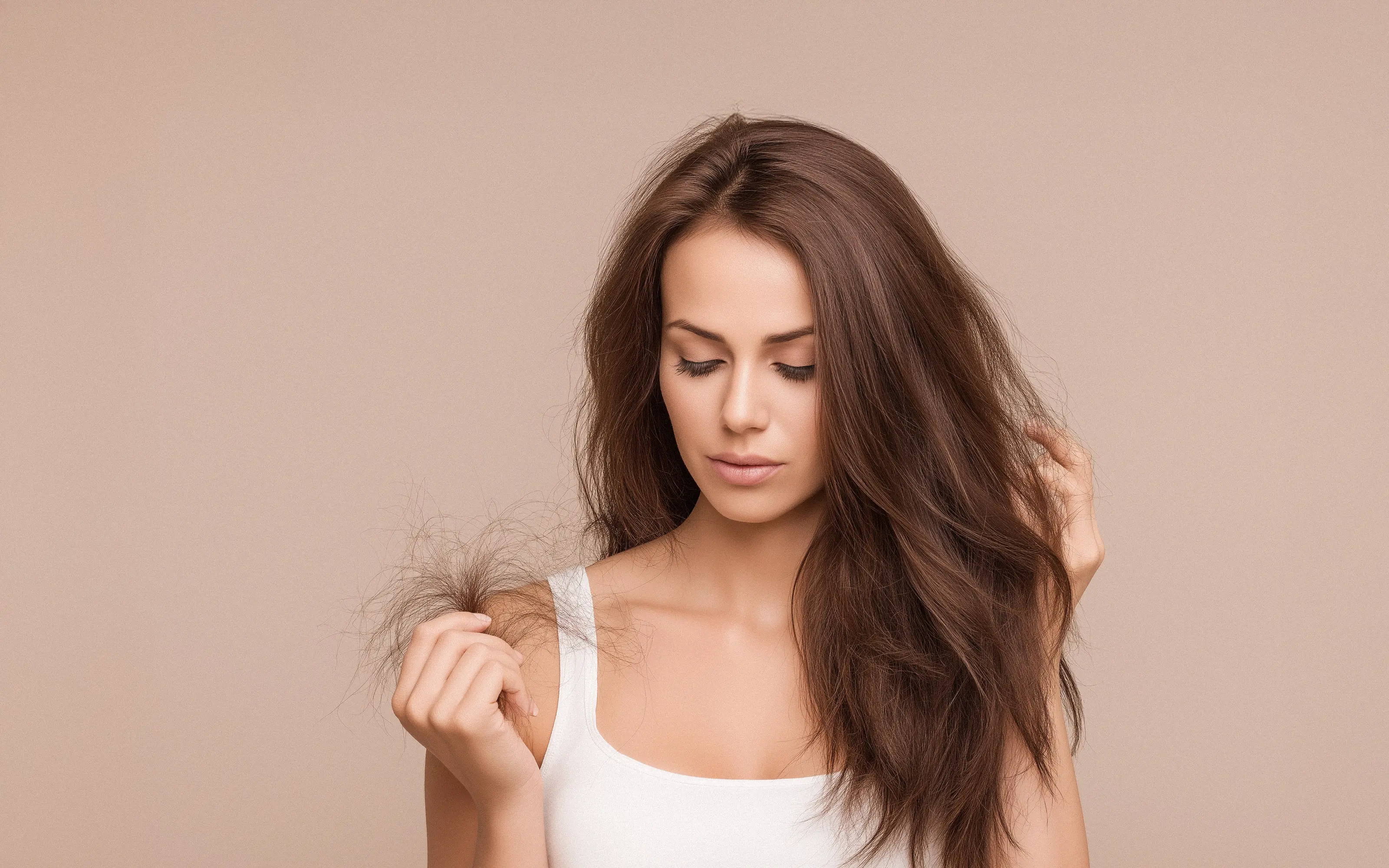 Image by notthoff La Biosthétique Friseur C Perücken Extensions 24